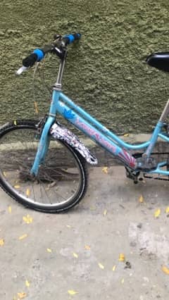 whatsapp No :03456487249 bicycle for sale