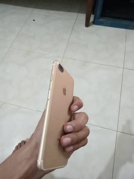 7 plus official pta approved 2