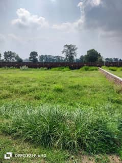 1 Kanal Farms Houses Plots For Sale Barki Road Near Phase 7 Dha Lahore