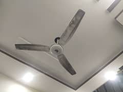 fan for sell