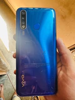 vivo