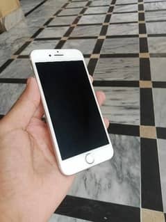 i phone 7