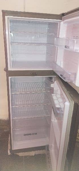 PEL NEW FRIDGE 1