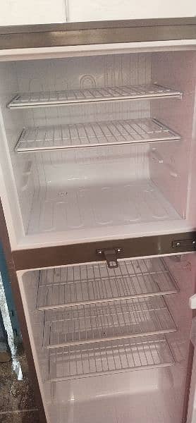 PEL NEW FRIDGE 3