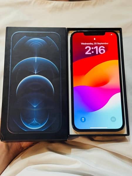 Iphone 12 pro max 256gb non pta 1