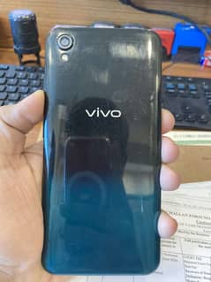 Vivo