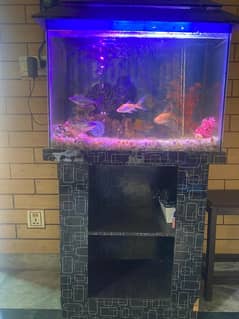 Fish Aquarium in Excellent Condition