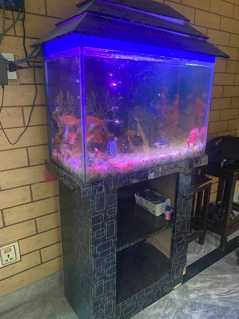 Fish Aquarium in Excellent Condition 1