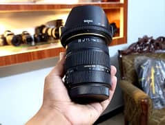 Canon Sigma 17-50mm f2.8 OS DC HSM (10/10)