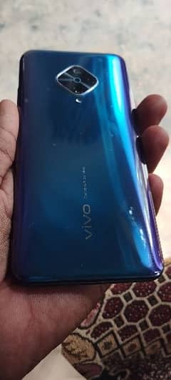 VIVO