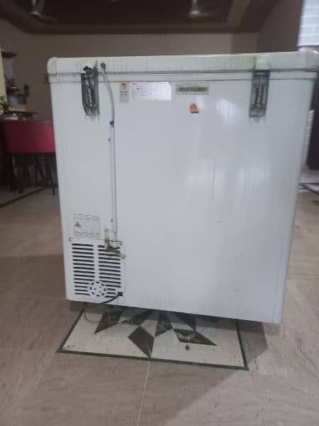 Haier Deep Freezer 3