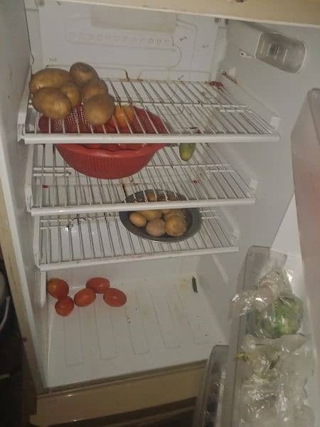 fridge 3