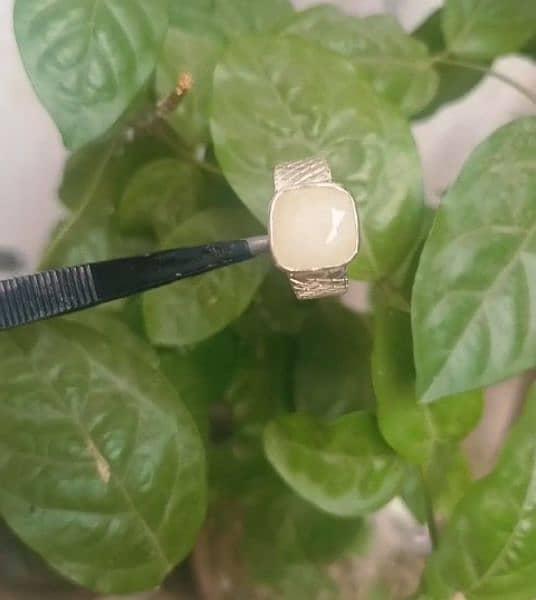 WhIte sapphire 10/10 Condition in Gold  Unheated non treated natural 6