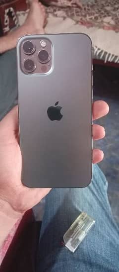 IPhone 12 pro max