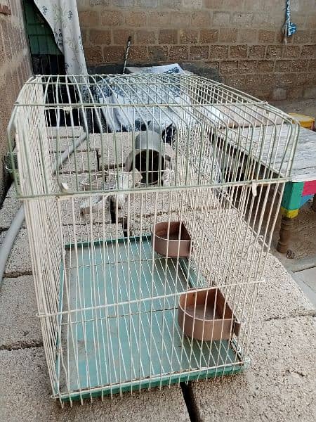 folding cage 1