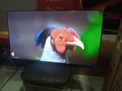 32,, INCH SAMSUNG 4k Android led tv warranty 03230900129