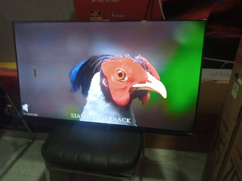 32,, INCH SAMSUNG 4k Android led tv warranty 03230900129 0