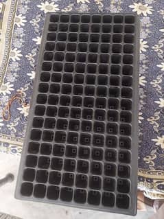 seedling tray & peat moos