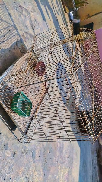 Birds Cage 1