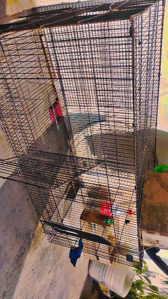 Parrot Cage 1