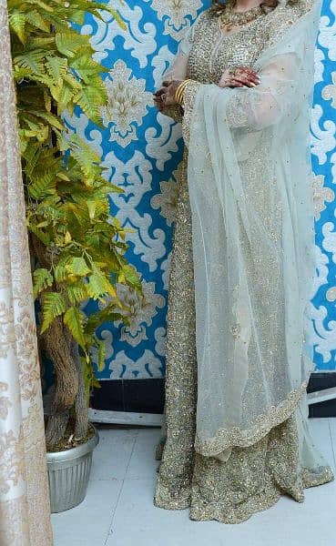 walima maxi 2