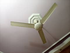 Fully working fans