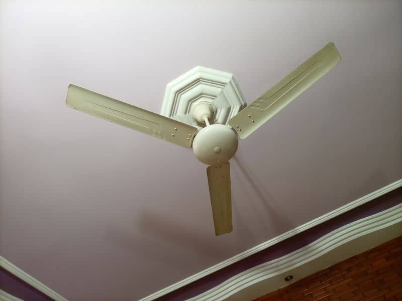 Fully working fans 1