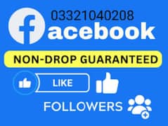 Facebook Page Likes Views Instagram TikTok O3321O4O2O8 0