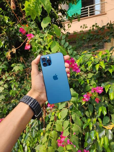 iPHONE 12 PRO [256 GB FACTORY UNLOCK] 1