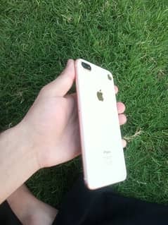 iphone 8 plus urgent sale exchange possible