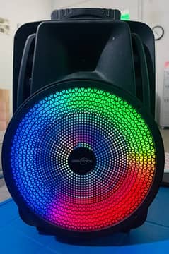 Portable Bluetooth speaker 8”