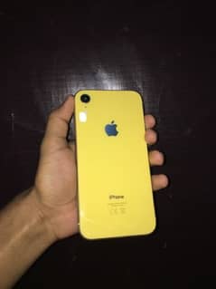 iphone Xr 64 Gb 0