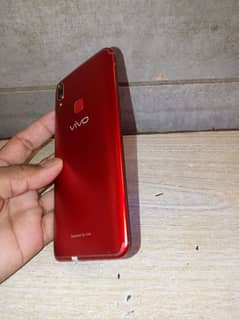 vivo