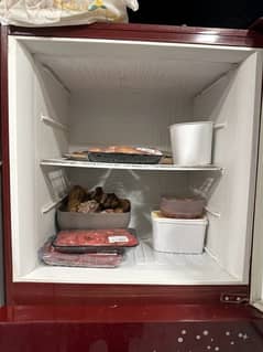 PEL fridge Medium Size