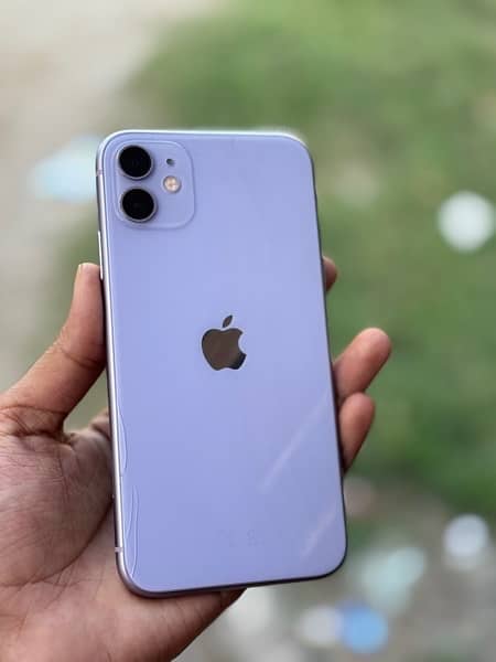 iphone 11 pta approved 4