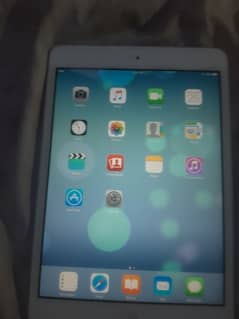 ipad mini 1.10 by 10 with data cable