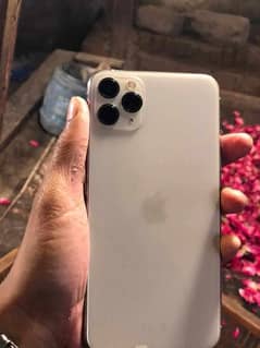 iphone 11 pro max pta approve 0