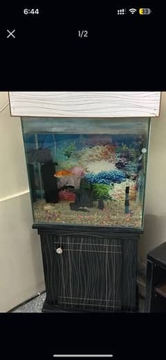 fish aquarium for sale