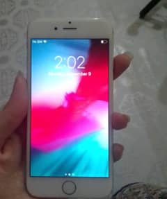 Iphone 6  GB 16 0