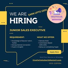 Junior Sales Executive