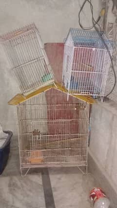 bird cage