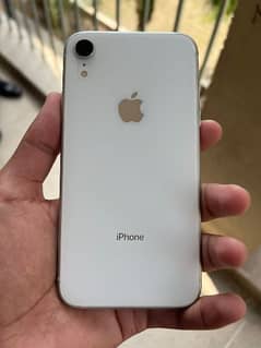 iphone XR