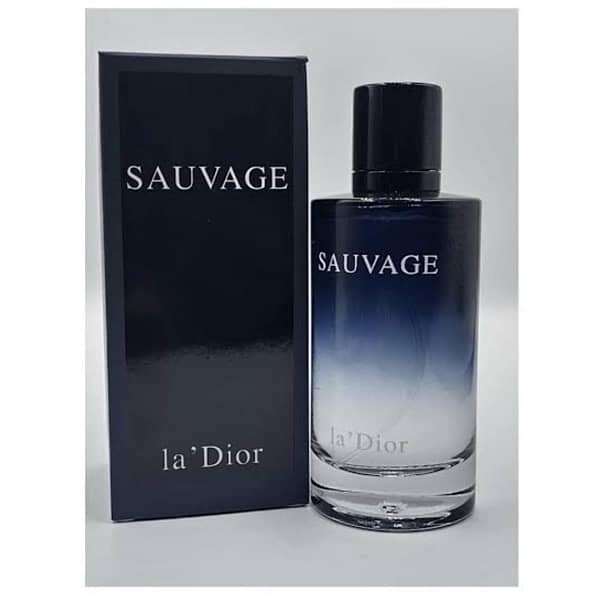 sauvage perfume 1