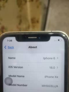 iPhone  XR converted 14 pro max with original back