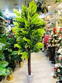 ARTIFICIAL PLANT JUMBO SIZE / 7 Ft / Mango leafs