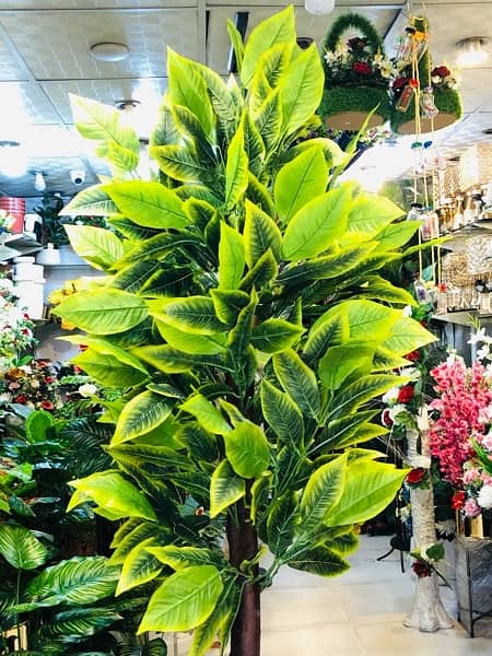 ARTIFICIAL PLANT JUMBO SIZE / 7 Ft / Mango leafs 1