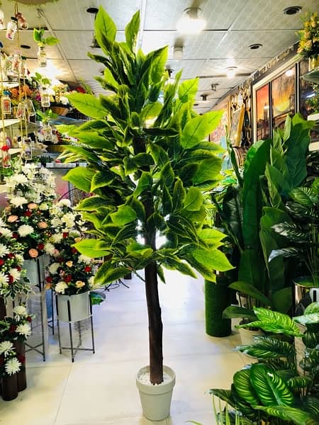 ARTIFICIAL PLANT JUMBO SIZE / 7 Ft / Mango leafs 5