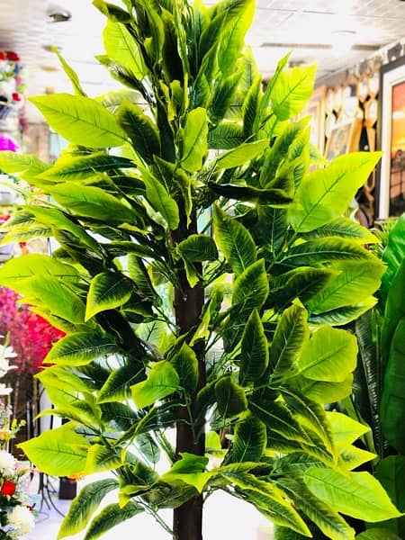 ARTIFICIAL PLANT JUMBO SIZE / 7 Ft / Mango leafs 6