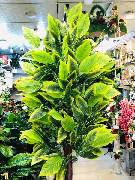 ARTIFICIAL PLANT JUMBO SIZE / 7 Ft / Mango leafs 7