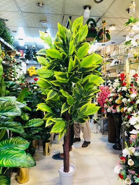 ARTIFICIAL PLANT JUMBO SIZE / 7 Ft / Mango leafs 8